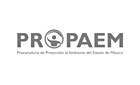 PROPAEM